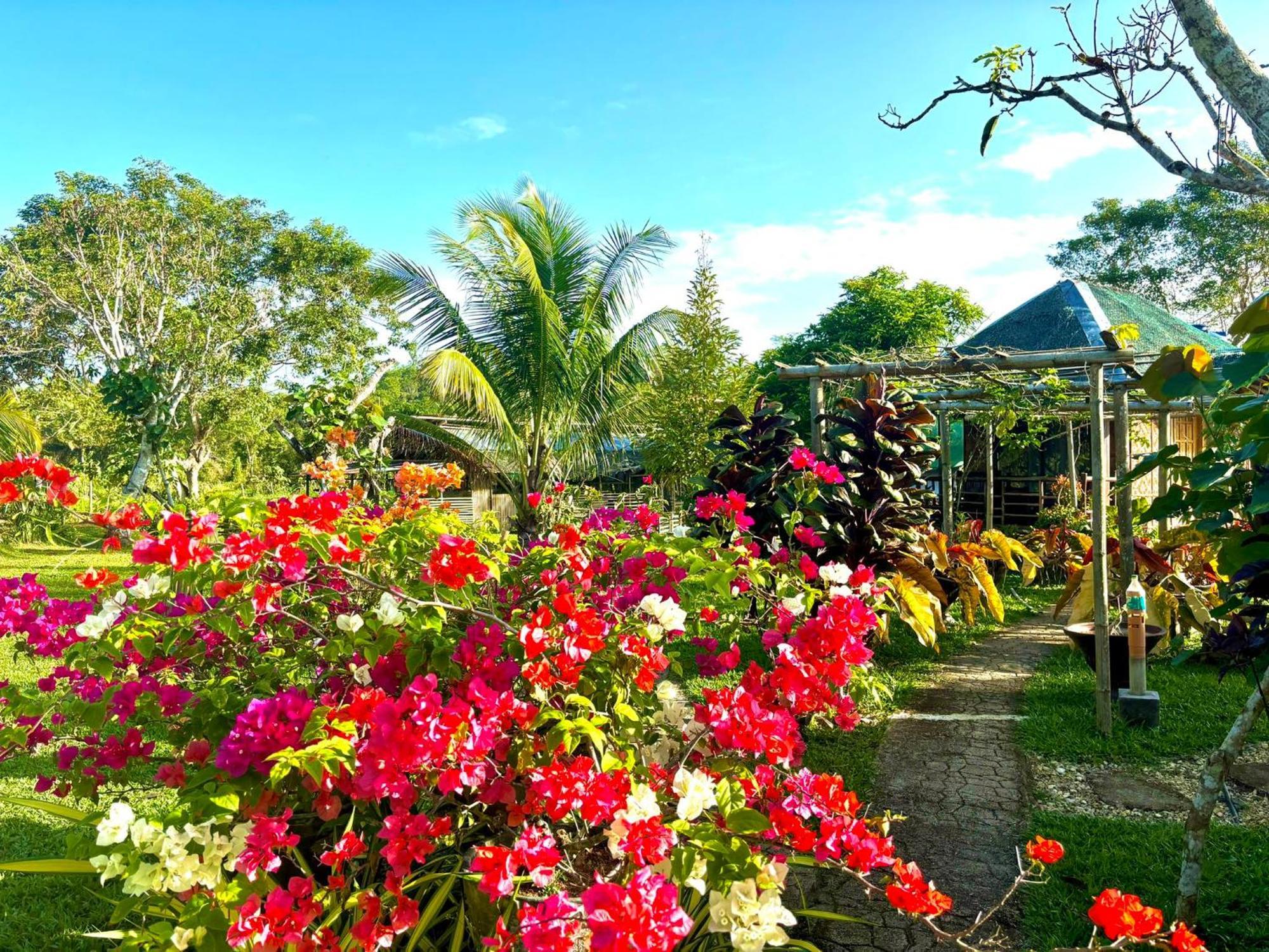 Camelo Farm Hotel Bilar ภายนอก รูปภาพ