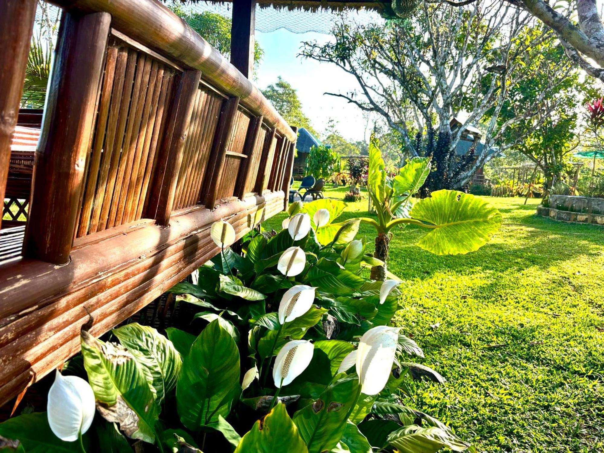 Camelo Farm Hotel Bilar ภายนอก รูปภาพ