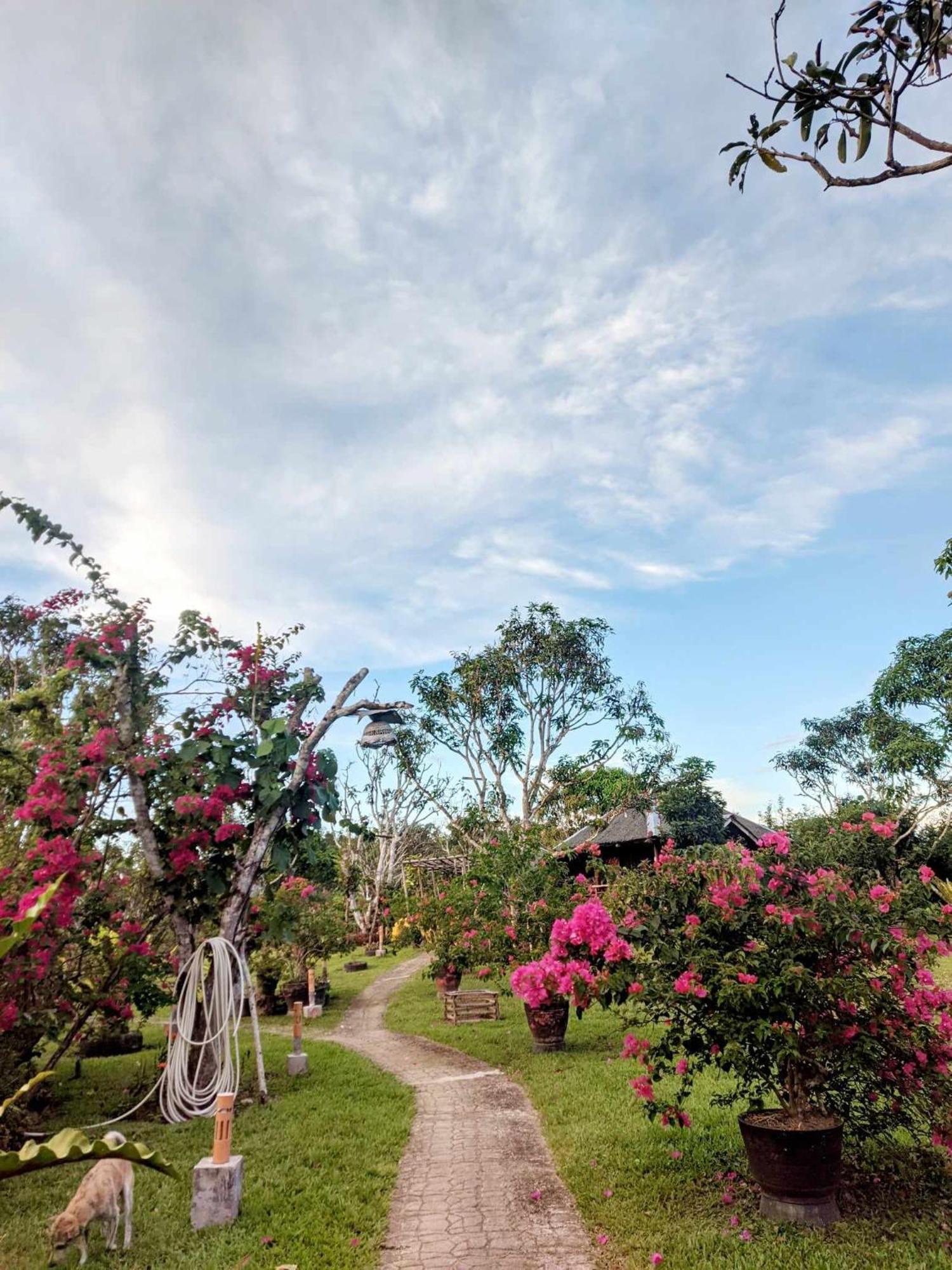 Camelo Farm Hotel Bilar ภายนอก รูปภาพ