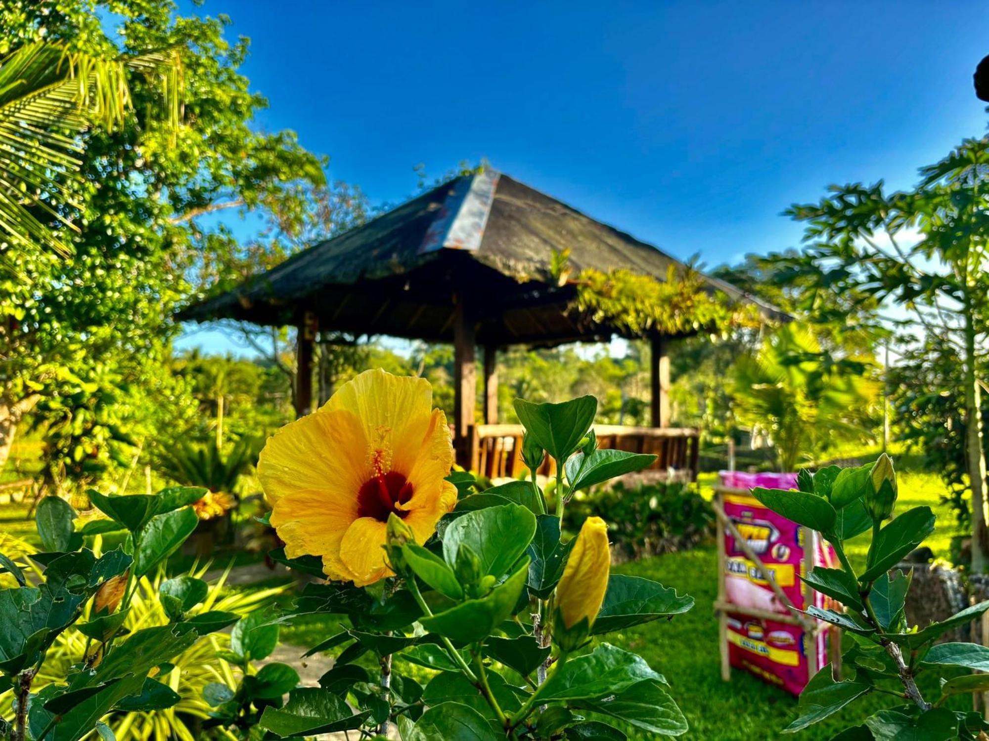 Camelo Farm Hotel Bilar ภายนอก รูปภาพ